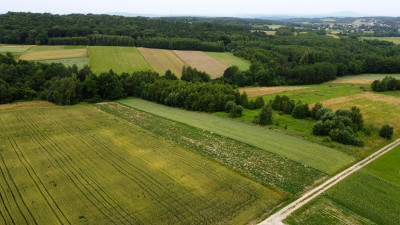 ATRAKCYJNA DZIAŁKA W MIEJSCOWOŚCI ŁAJSCE 62 AR - Łajsce   -
podkarpackie Zdjęcie nr 5