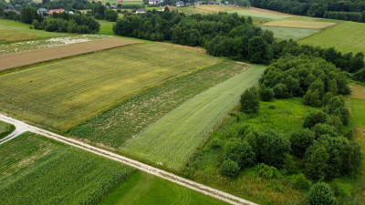 ATRAKCYJNA DZIAŁKA W MIEJSCOWOŚCI ŁAJSCE 62 AR - Łajsce   -
podkarpackie Zdjęcie nr 8