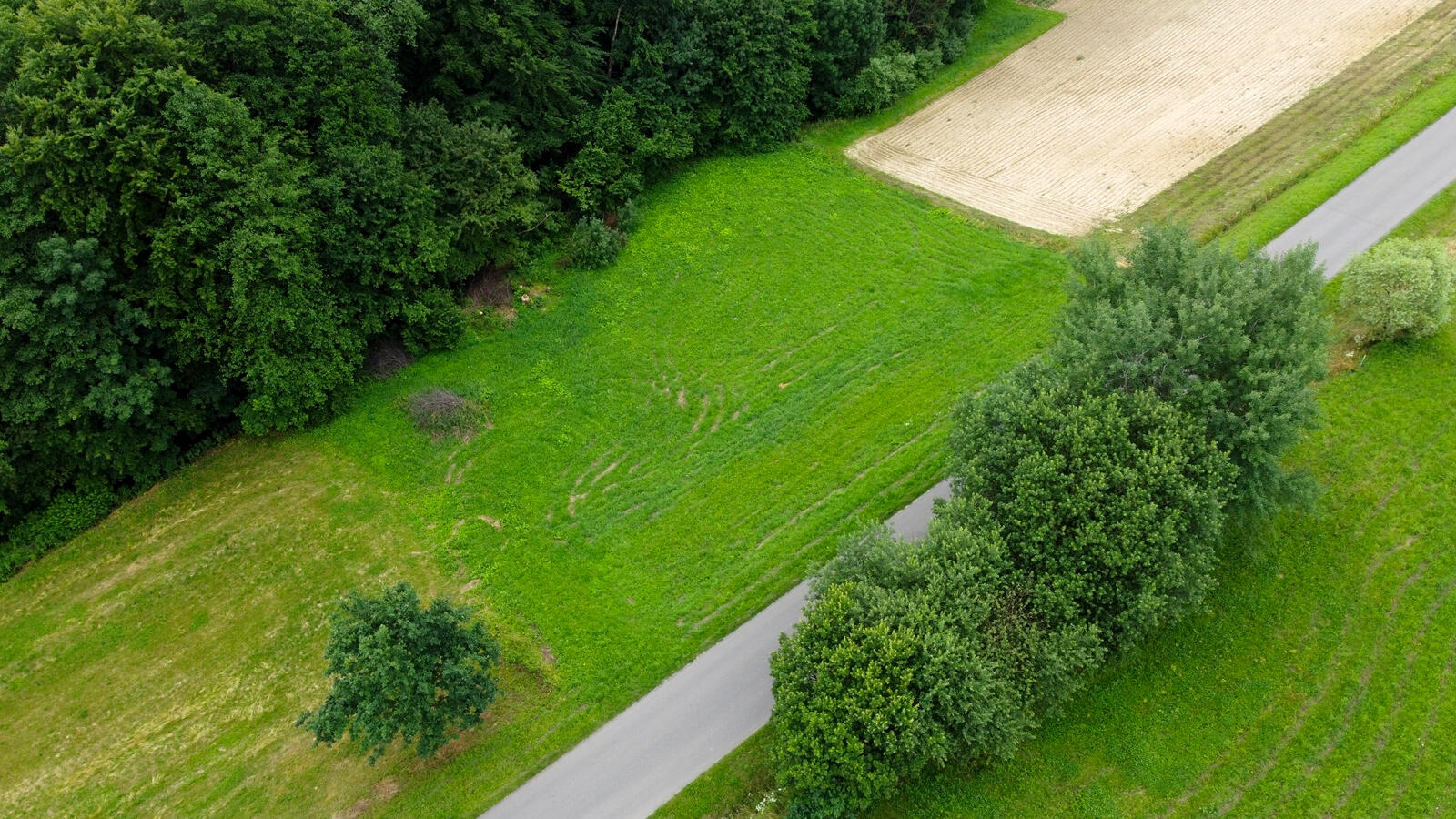 JESZCZE NIŻSZA CENA DZIAŁKA W MIEJSCOWOŚCI NOWY GLINIK 22 AR - Nowy Glinik   -
podkarpackie Zdjęcie nr 1