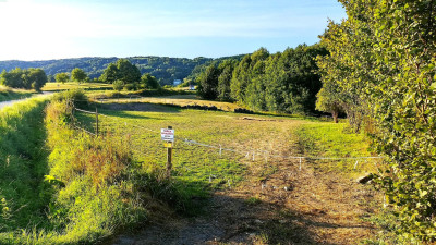 DZIAŁKA BUDOWLANA Z WZ W MIEJSCOWOŚCI KOWALOWY GMINA JASŁO - O POW 19 ARY - Kowalowy  -
podkarpackie Zdjęcie nr 6