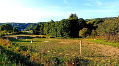 DZIAŁKA BUDOWLANA Z WZ W MIEJSCOWOŚCI KOWALOWY GMINA JASŁO - O POW 19 ARY - Kowalowy  -
podkarpackie Zdjęcie nr 7
