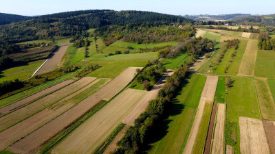 Działka budowlana położona w miejscowości Bieździedza gm Kołaczyce o pow 25ar - Bieździedza   -
podkarpackie Zdjęcie nr 3