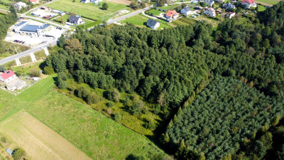 Atrakcyjna nieruchomość z potencjałem budowlanym zlokalizowana w Jaśle obręb Bryły o pow 64ary - Jasło   -
podkarpackie Zdjęcie nr 3