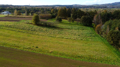 Działka w drugiej linii zabudowy w Jaśle obręb Bryły o pow 17 AR - Jasło   -
podkarpackie Zdjęcie nr 4