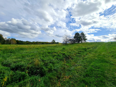 Działka w drugiej linii zabudowy w Jaśle obręb Bryły o pow 17 AR - Jasło   -
podkarpackie Zdjęcie nr 8