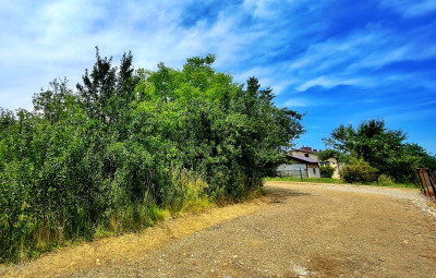 ATRAKCYJNA DZIAŁKA BUDOWLANA W WOLICY 25 AR - Wolica  -
podkarpackie Zdjęcie nr 12