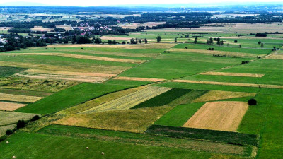 DZIAŁKA ROLNA O POWIERZCHNI OK 114 HA PIELGRZYMKA GM OSIEK JASIELSKI - Pielgrzymka   -
podkarpackie Zdjęcie nr 3