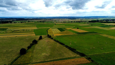 DZIAŁKA ROLNA O POWIERZCHNI OK 114 HA PIELGRZYMKA GM OSIEK JASIELSKI - Pielgrzymka   -
podkarpackie Zdjęcie nr 7