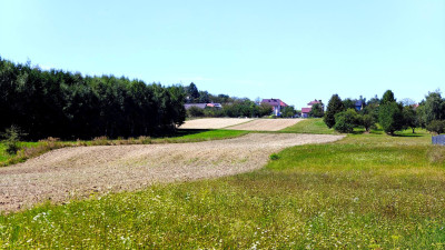 ATRAKCYJNA DZIAŁKA BUDOWLANA Z WZ W DĘBOWCU 38AR - Dębowiec   -
podkarpackie Zdjęcie nr 8