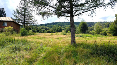 DZIAŁKA INWESTYCYJNA PRZY WYCIĄGU NARCIARSKIM MAŁASTÓW GM SĘKOWA 60AR - Małastów   -
małopolskie Zdjęcie nr 10