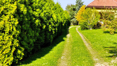 CENA W DÓŁ NA SRZEDAŻ DZIAŁKA W DRUGIEJ LINII ZABUDOWY ŁASKI 12 AR - Łaski  -
podkarpackie Zdjęcie nr 10