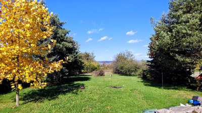 CENA W DÓŁ NA SRZEDAŻ DZIAŁKA W DRUGIEJ LINII ZABUDOWY ŁASKI 12 AR - Łaski  -
podkarpackie Zdjęcie nr 7