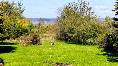 CENA W DÓŁ NA SRZEDAŻ DZIAŁKA W DRUGIEJ LINII ZABUDOWY ŁASKI 12 AR - Łaski  -
podkarpackie Zdjęcie nr 8