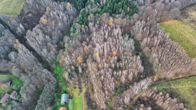 NIERUCHOMOŚĆ ROLNA O POW 195HA SZUFNAROWA GM WIŚNIOWA POW STRZYŻOWSKI - Szufnarowa   -
podkarpackie Zdjęcie nr 5