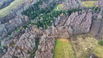 NIERUCHOMOŚĆ ROLNA O POW 195HA SZUFNAROWA GM WIŚNIOWA POW STRZYŻOWSKI - Szufnarowa   -
podkarpackie Zdjęcie nr 6