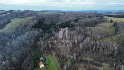 NIERUCHOMOŚĆ ROLNA O POW 195HA SZUFNAROWA GM WIŚNIOWA POW STRZYŻOWSKI - Szufnarowa   -
podkarpackie Zdjęcie nr 7