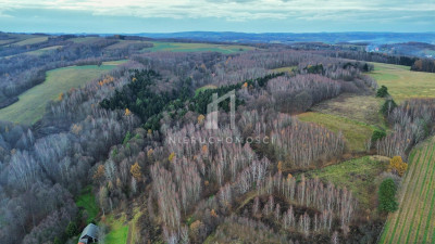 NIERUCHOMOŚĆ ROLNA O POW 195HA SZUFNAROWA GM WIŚNIOWA POW STRZYŻOWSKI - Szufnarowa   -
podkarpackie Zdjęcie nr 8