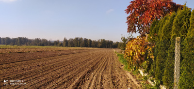 Działka rolno-budowlana - łódzkie