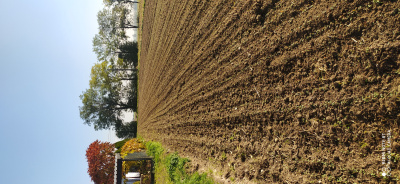 Działka rolno-budowlana -
łódzkie Zdjęcie nr 8