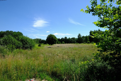 Dom Tuż przy Granicy Kampinosu KPN Tak - Kampinos  -
Mazowieckie Zdjęcie nr 13