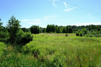 Dom Tuż przy Granicy Kampinosu KPN Tak - Kampinos  -
Mazowieckie Zdjęcie nr 6