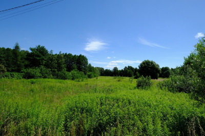 Dom Tuż przy Granicy Kampinosu KPN Tak - Kampinos  -
Mazowieckie Zdjęcie nr 7