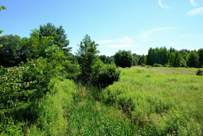 Dom Tuż przy Granicy Kampinosu KPN Tak - Kampinos  -
Mazowieckie Zdjęcie nr 8