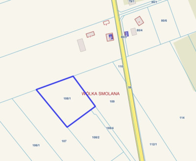 Wólka Smolana gm Brochów media las - Wólka Smolana  - Mazowieckie