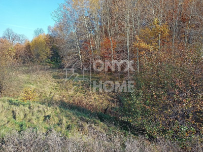 Pakiet 2 działek dobra cena Załęże gm Przodkowo - Załęże  -
Pomorskie Zdjęcie nr 7