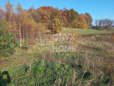 Załęże gm Przodkowo niska cena - Załęże  -
Pomorskie Zdjęcie nr 9