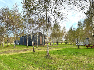 Sulicice Ameryka dz rolna 8 km do plaży Karwii - Ameryka  -
Pomorskie Zdjęcie nr 9