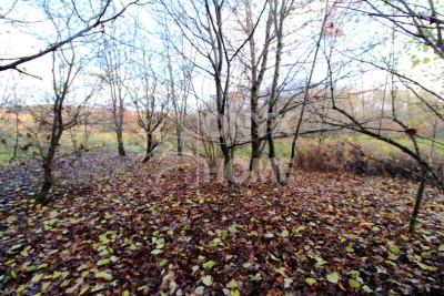 Duża działka pod zabudowę mieszkaniową MPZP - Mierzyno  -
Pomorskie Zdjęcie nr 9