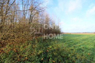 Grunt z miejscowym planem mieszkalnictwo usługi - powiat wejherowski  -
Pomorskie Zdjęcie nr 10