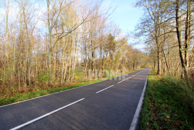 Grunt z miejscowym planem mieszkalnictwo usługi - powiat wejherowski  -
Pomorskie Zdjęcie nr 11