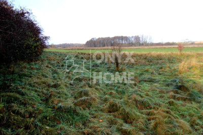 Grunt z miejscowym planem mieszkalnictwo usługi - powiat wejherowski  -
Pomorskie Zdjęcie nr 3