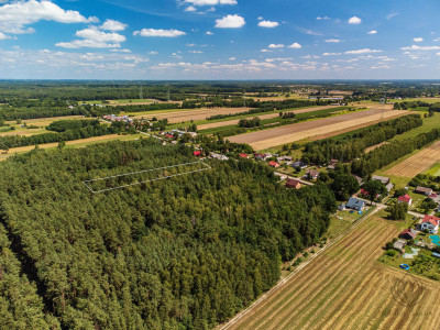 Duża działka leśna Piaseczno gm Cegłów - Piaseczno   -
mazowieckie Zdjęcie nr 10