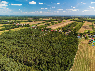 Duża działka leśna Piaseczno gm Cegłów - Piaseczno   -
mazowieckie Zdjęcie nr 11
