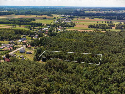 Duża działka leśna Piaseczno gm Cegłów - Piaseczno   -
mazowieckie Zdjęcie nr 3