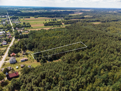 Duża działka leśna Piaseczno gm Cegłów - Piaseczno   -
mazowieckie Zdjęcie nr 4