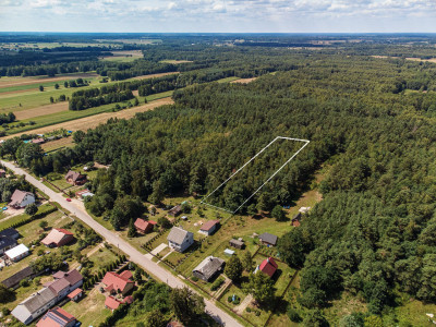 Duża działka leśna Piaseczno gm Cegłów - Piaseczno   -
mazowieckie Zdjęcie nr 5