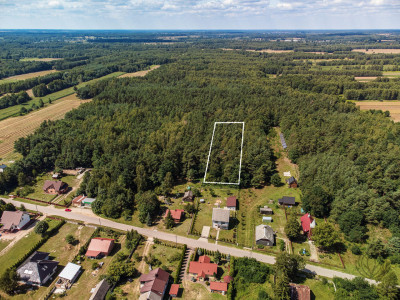 Duża działka leśna Piaseczno gm Cegłów - Piaseczno   -
mazowieckie Zdjęcie nr 6