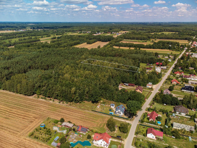Duża działka leśna Piaseczno gm Cegłów - Piaseczno   -
mazowieckie Zdjęcie nr 9