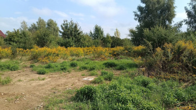 Na sprzedaż działka budowlana - Bytkowo -
wielkopolskie Zdjęcie nr 15