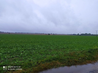 Na sprzedaż działka budowlana - Śródka -
wielkopolskie Zdjęcie nr 2