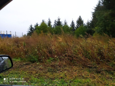 Na sprzedaż działka budowlana - Śródka -
wielkopolskie Zdjęcie nr 7