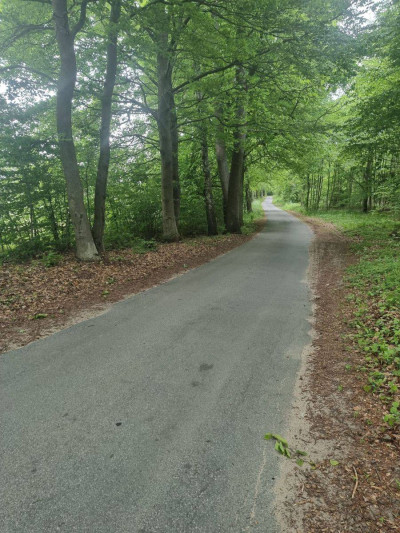 Na sprzedaż działka budowlana - Żelisławie -
zachodniopomorskie Zdjęcie nr 8