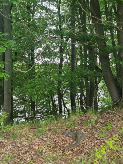 Na sprzedaż działka budowlana - Żelisławie -
zachodniopomorskie Zdjęcie nr 2