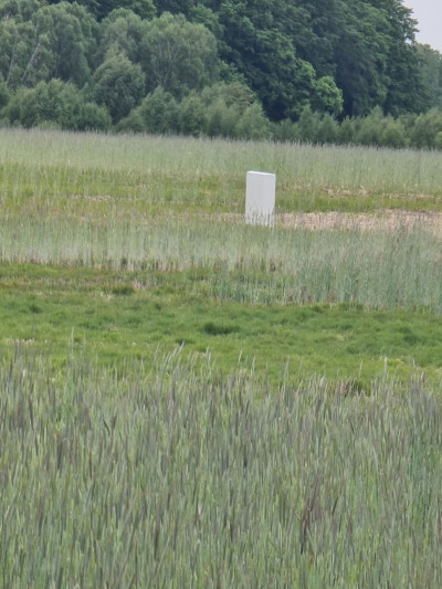 Na sprzedaż działka budowlana - Żelisławie -
zachodniopomorskie Zdjęcie nr 6