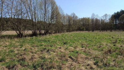 Na sprzedaż działka rekreacyjna - Silna -
lubuskie Zdjęcie nr 10