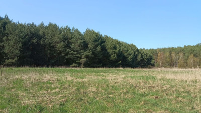 Na sprzedaż działka rekreacyjna - Silna - lubuskie